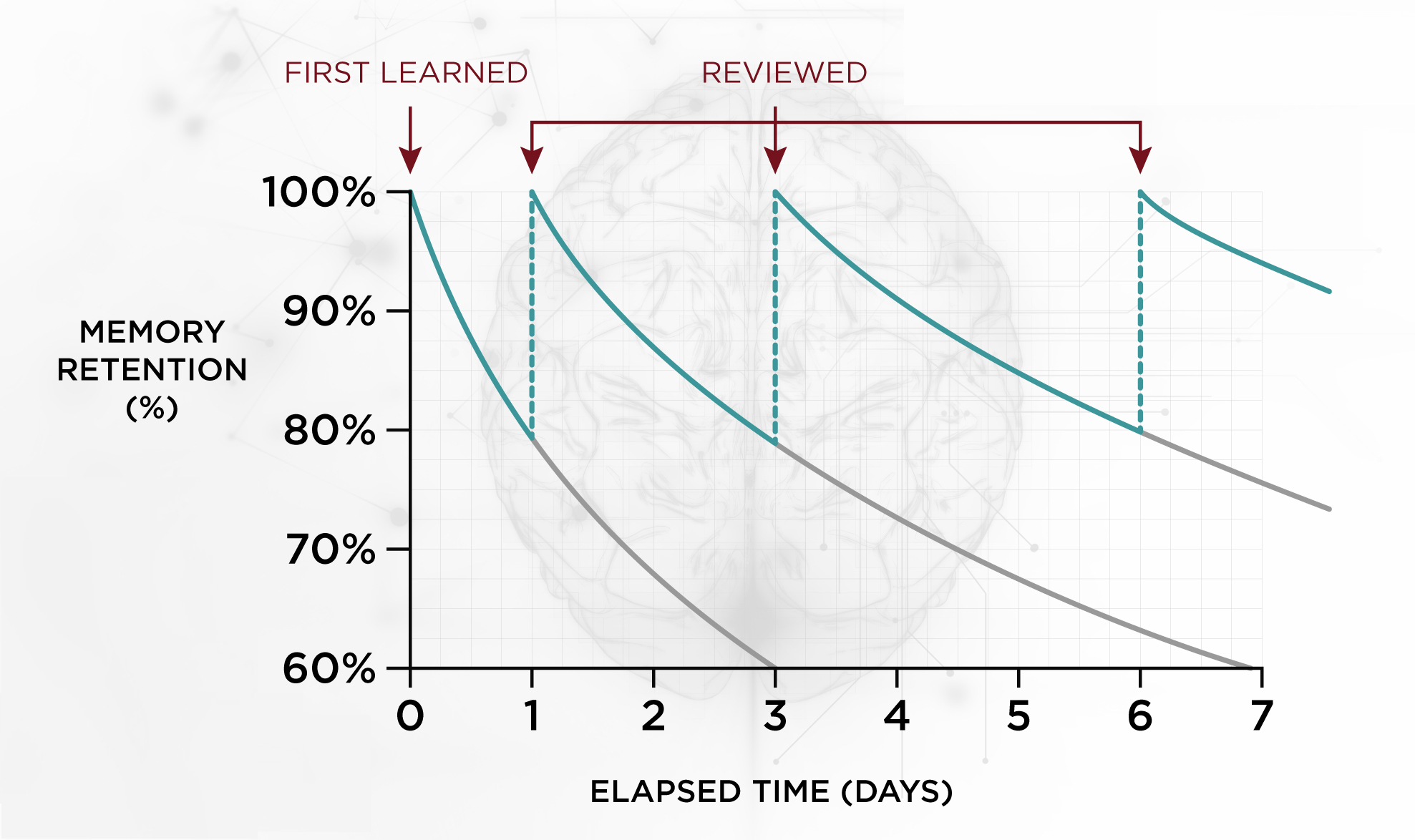 Ebbinghaus Forgetting Curve